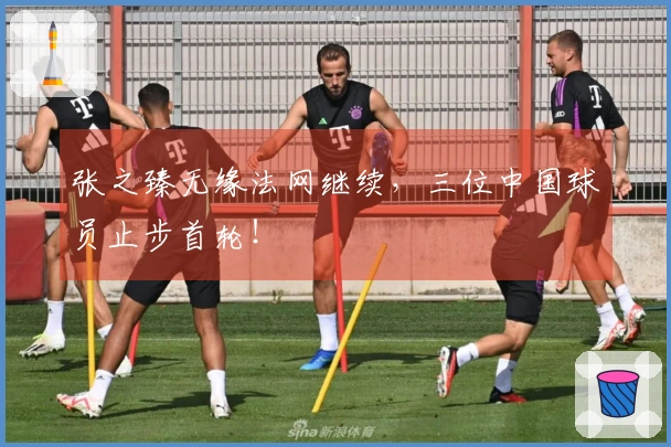 张之臻无缘法网继续，三位中国球员止步首轮！